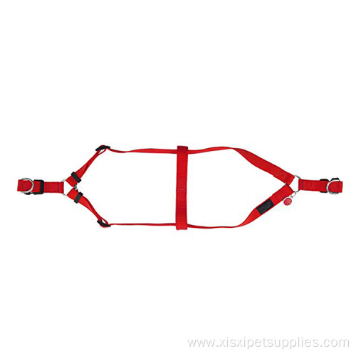 Adjustable Dog Harness for Outdoor Walking